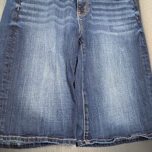 BKE Denim Womens Jean Shorts Payton Light Blue Size 30